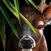 Life Of Deer v1.0