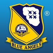 Blue Angels - Aerobatic SIM v1.0