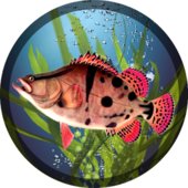Fishing PRO v1.14