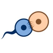 Cell Lab: эволюция + песочница v74
