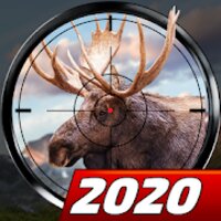 Wild Hunt v1.411 (MOD, Неограниченно патронов)