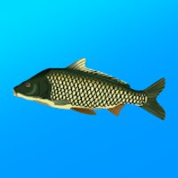 Реальная Рыбалка v1.16.3.799 (MOD, много денег)