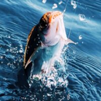 Real Fishing Pro 3D v1.3.9