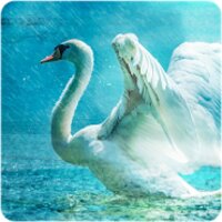 Legend of Lir v1.1