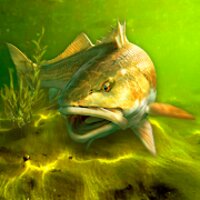 My Fishing World - Реальная рыбалка v1.16.26 (MOD, Бесплатные покупки)