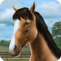 My Horse v1.38.14 (MOD, бесплатные покупки)