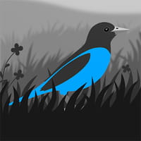 Grayland v1.12.2052.36 (MOD, Unlocked)